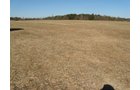 Property photo 21 - 110+/- Acres offered in 4 Tillable Tracts